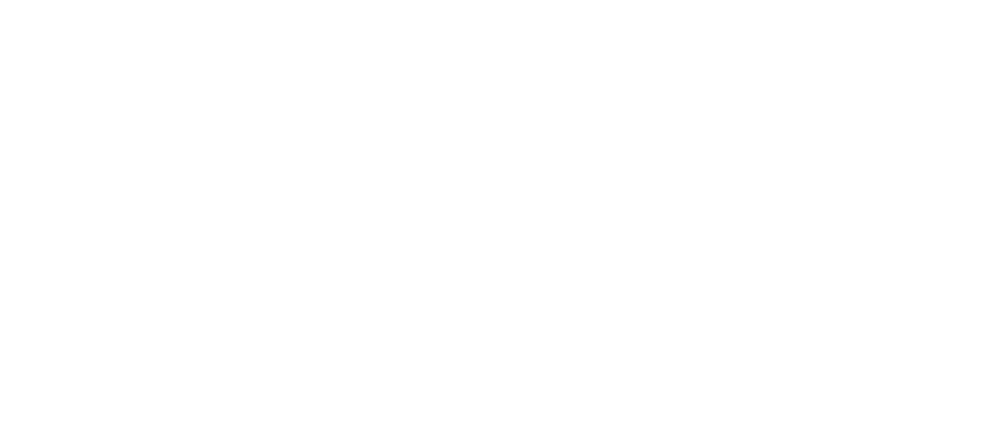 STITCHORA DIGITIZING